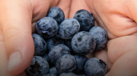 Top 6 Healthy Alternative Foods for Women